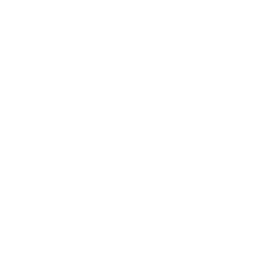 MAS2025_Brands_Web_AION