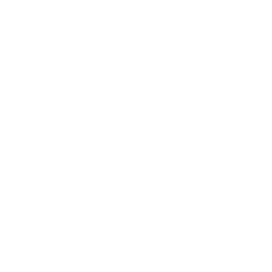 MAS2025_Brands_Web_audi
