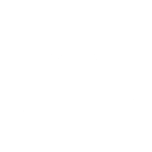 MAS2025_Brands_Web_dongfeng