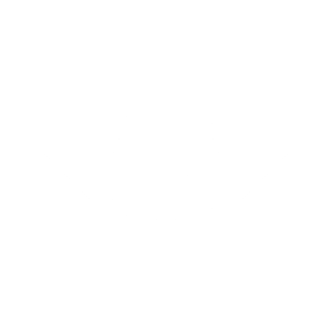 MAS2025_Brands_Web_minicooper