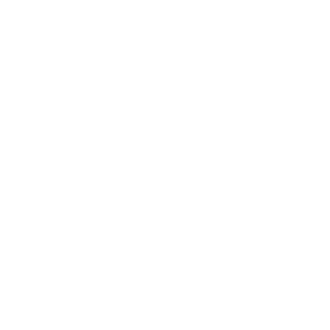 MAS2025_Brands_Web_tesla